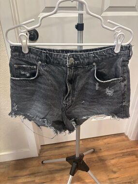 Zara Jean Shorts